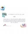 Exemple de carte alignement à soi de la Good Karma box de Stéphanie Abellan